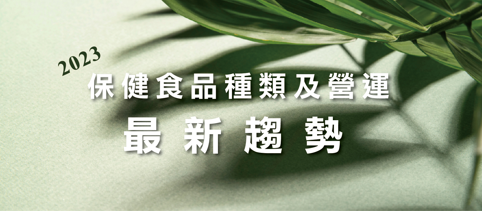 2023年台灣保健食品經營趨勢?行銷趨勢?產品趨勢?